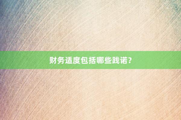 财务适度包括哪些践诺？