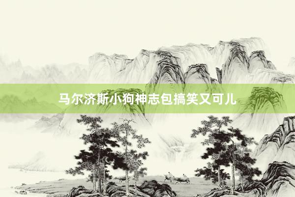 马尔济斯小狗神志包搞笑又可儿